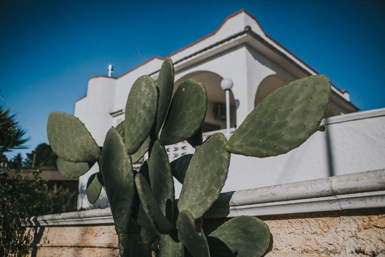أوستوني Paradiso Villa المظهر الخارجي الصورة